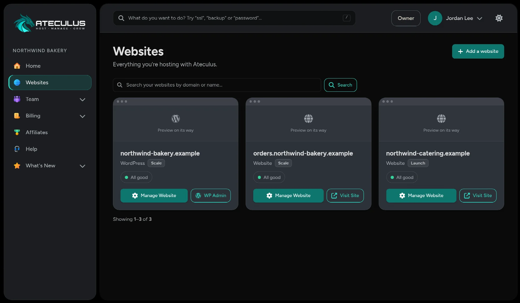 The Websites page in the Ateculus control panel listing each website with usage and status.